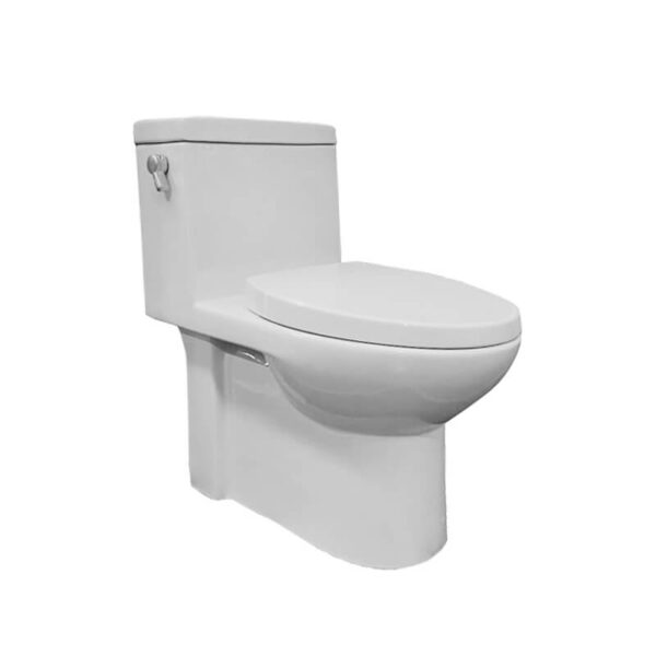 HCG Neptune C3263 AW lever type dual flush toilet