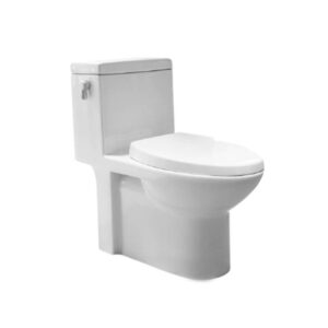 HCG Neptune C3263 AW lever type dual flush toilet