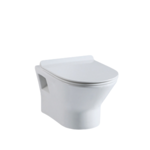 HCG Brizo C0493P wall mount concealed cistern rimless water closet